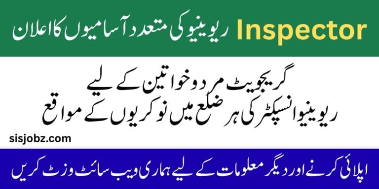Enforcement and Revenue Inspector Jobs