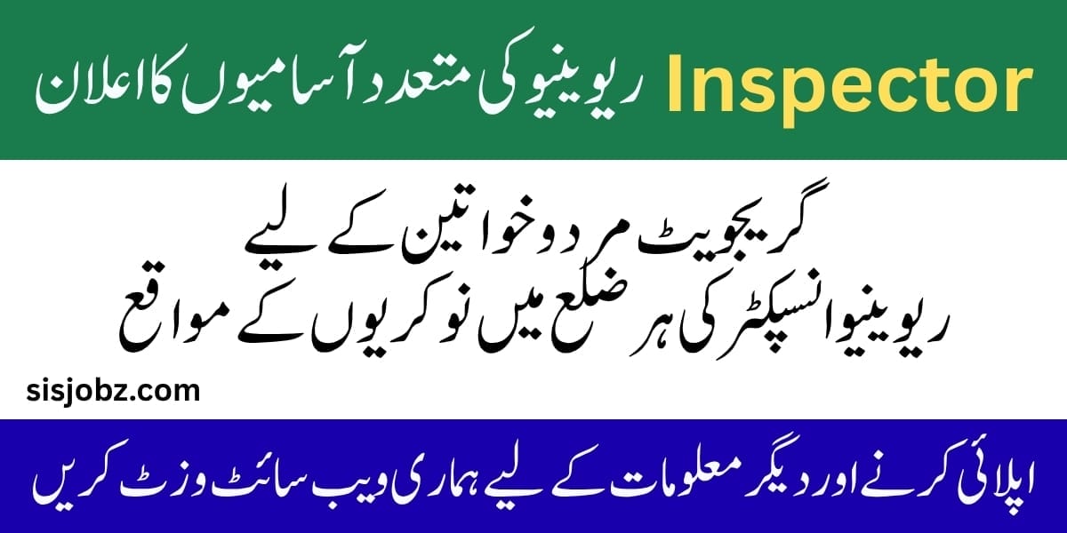 Enforcement and Revenue Inspector Jobs